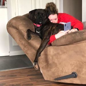 Meet your Posher, Robin